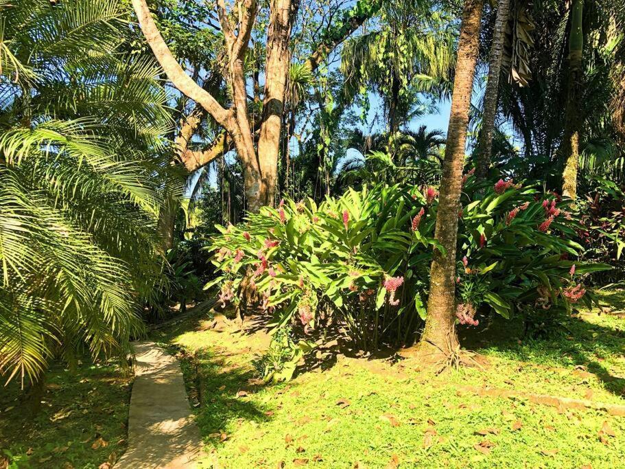 Villa Del Idaan Bocas del Toro Eksteriør billede