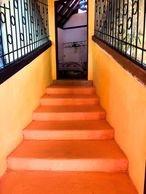 Villa Del Idaan Bocas del Toro Eksteriør billede